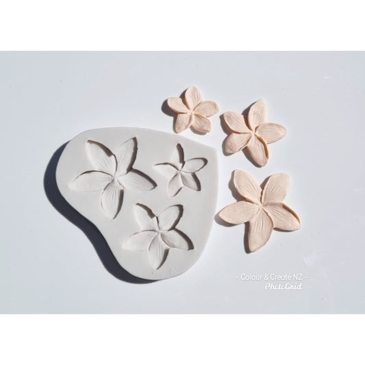 Polymer Clay Silicone Mould